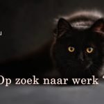 Op zoek naar werk